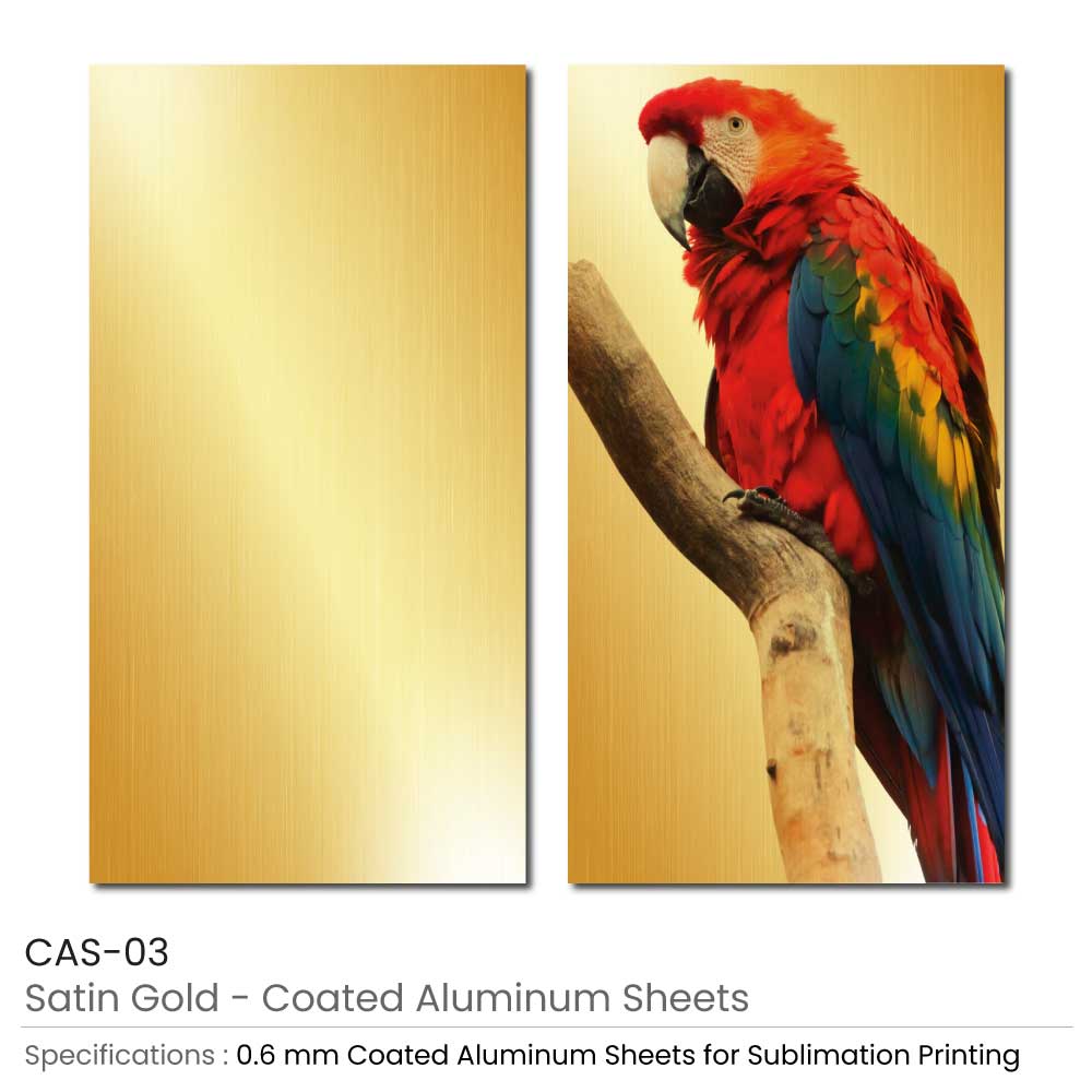 Coated-Aluminum-Sheet-CAS-03.jpg